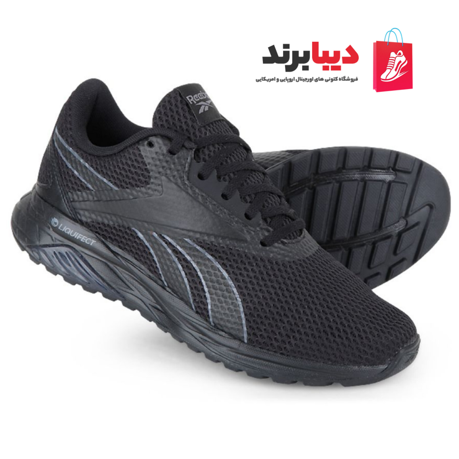 InShot_۲۰۲۴۰۸۱۹_۲۰۳۸۵۶۶۸۷